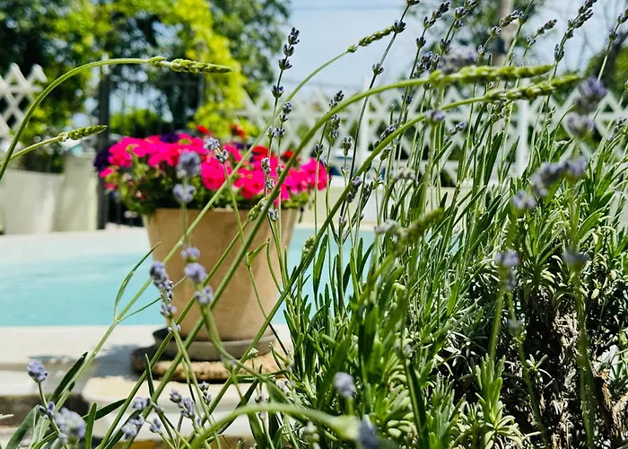 Amfora 3* セインツ・コンスタンティン＆ヘレナ