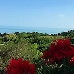Amfora 산콘스탄틴앤헬레나