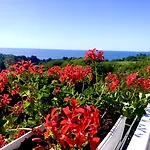 호텔 Amfora