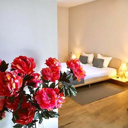 Отель Amfora 3*