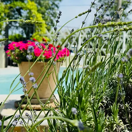 Amfora 3* Saints Constantine and Helena